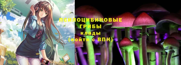 ECSTASY Михайловск