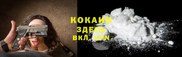 соль ск Абаза
