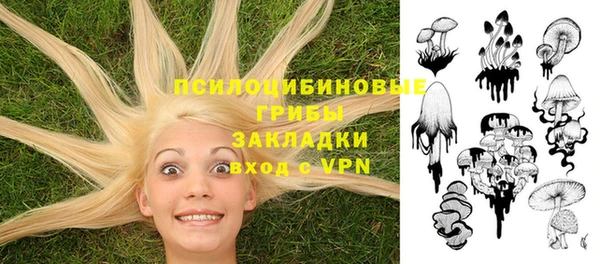 гашик Алексеевка