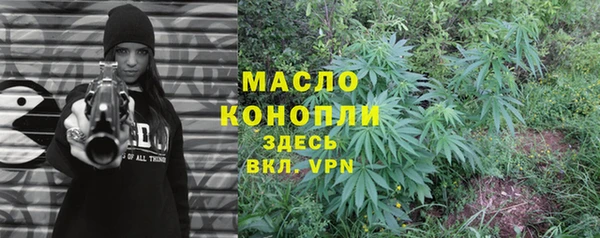 гашик Алексеевка