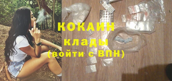 соль ск Абаза